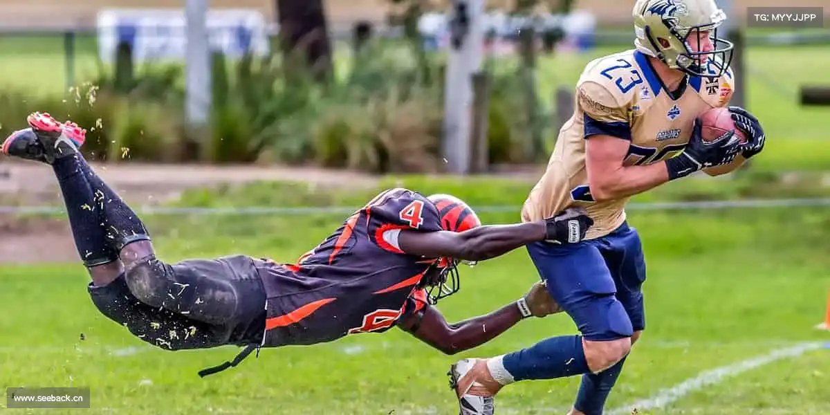 <strong>17c吃瓜网免费</strong>以镜头为笔，书写属于时代的影视篇章📺